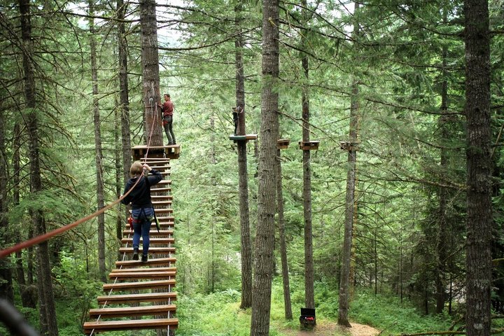 The Aerial Obstacle Course At Oregon's Tree to Tree Adventure Park Is Not For The Faint Of Heart