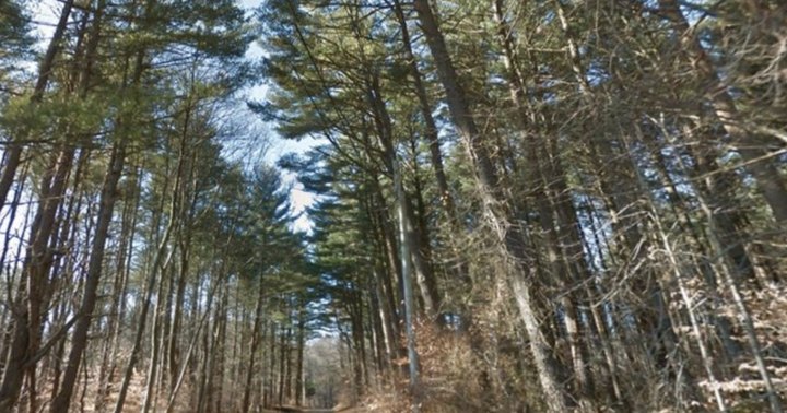 Driving Down This Haunted Connecticut Road Will Give You Nightmares