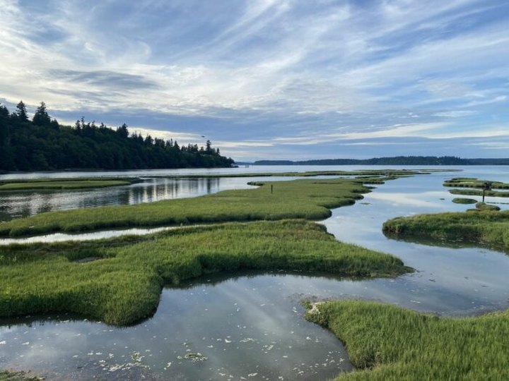 Nisqually Estuary Trail Is A Boardwalk Hike In Washington That Leads To Twin Barns