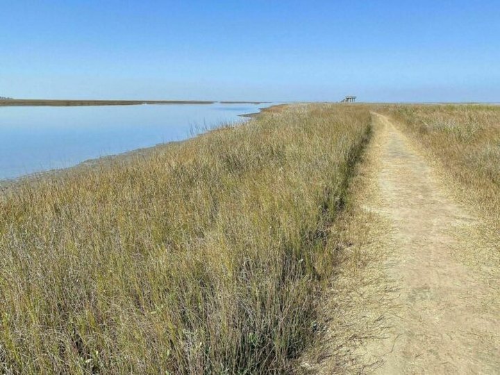 The Galveston Island State Park Trail In Texas Takes You From The Bay To The Beach And Back