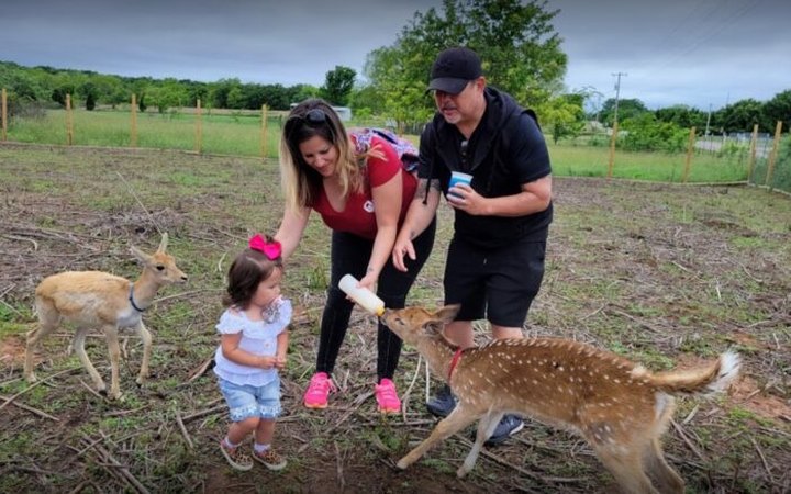 Enjoy A Fully Hands-On Petting Zoo Experience At Nomad's Animal Encounter In Oklahoma