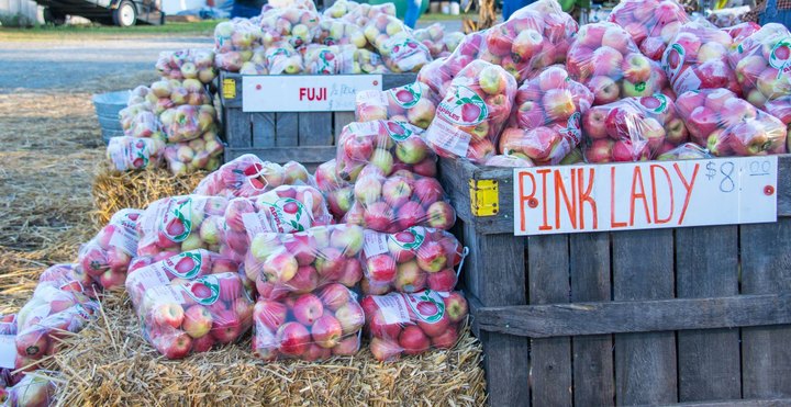 The Georgia Apple Festival Is Back Next Month For Its 50th Anniversary