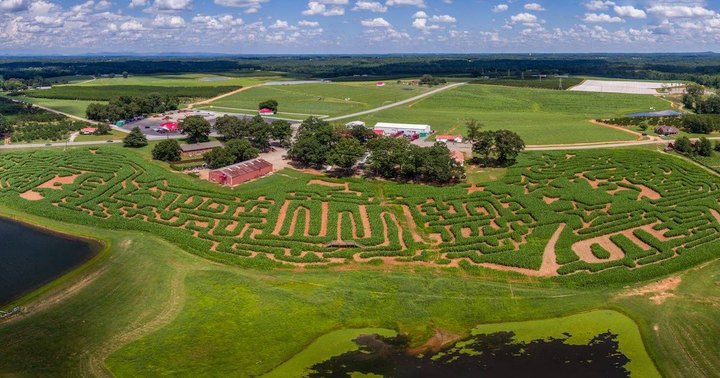 Get Lost In These 9 Awesome Corn Mazes In South Carolina This Fall