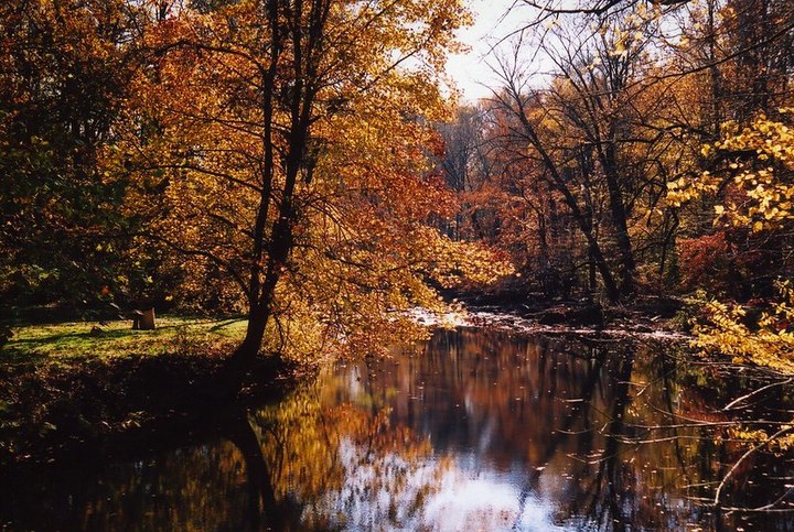 The Best Times And Places To View Fall Foliage In Delaware