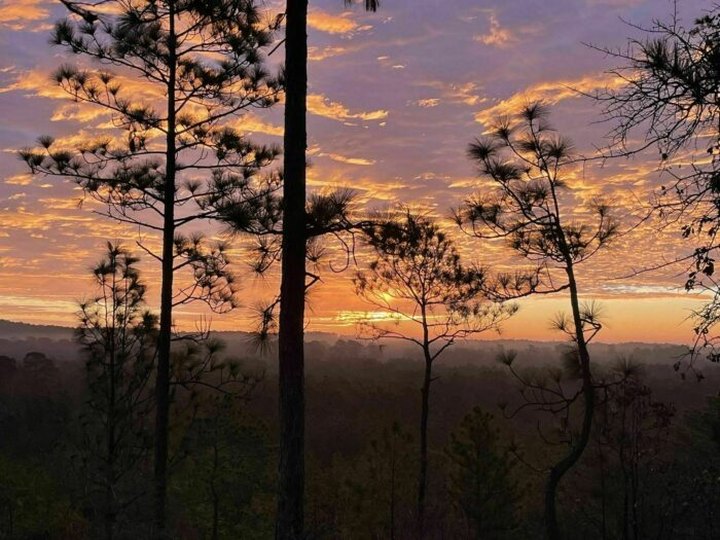 The Backbone Trail In Louisiana Takes You From Forests to Vista Views And Back