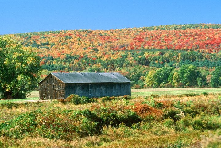 Take This Gorgeous Fall Foliage Road Trip To See Massachusetts Like Never Before