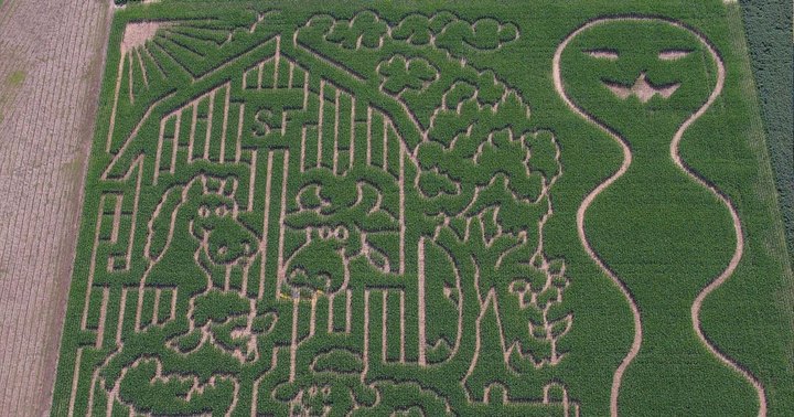 Get Lost In These 7 Awesome Corn Mazes In Mississippi This Fall