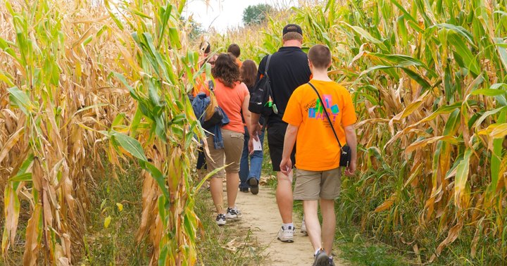 Get Lost In These 9 Awesome Corn Mazes In Ohio This Fall