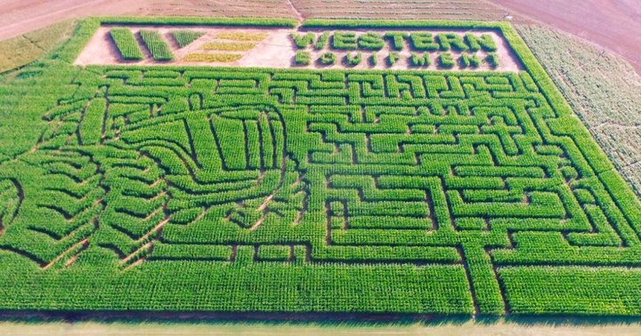 Get Lost In These 7 Awesome Corn Mazes In Oklahoma This Fall