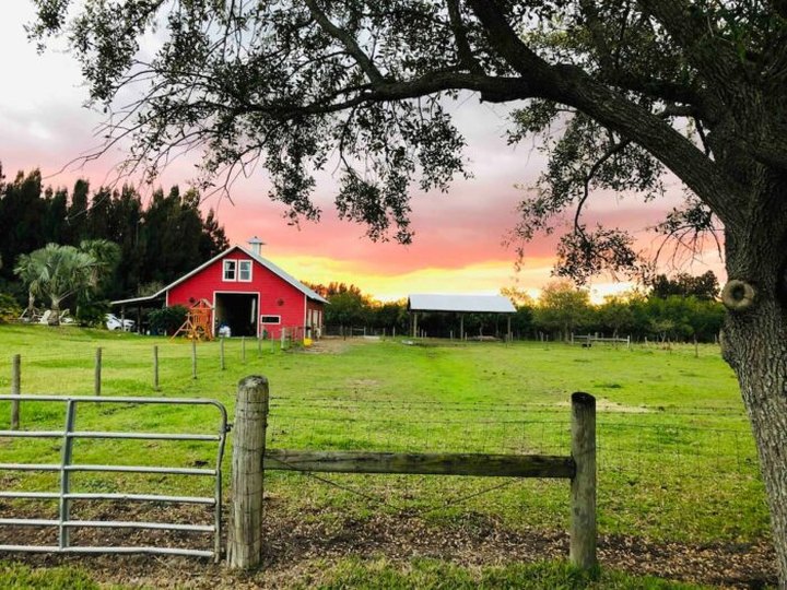 Relax And Connect With Nature When You Spend The Night In A Private Farm Barn In Florida