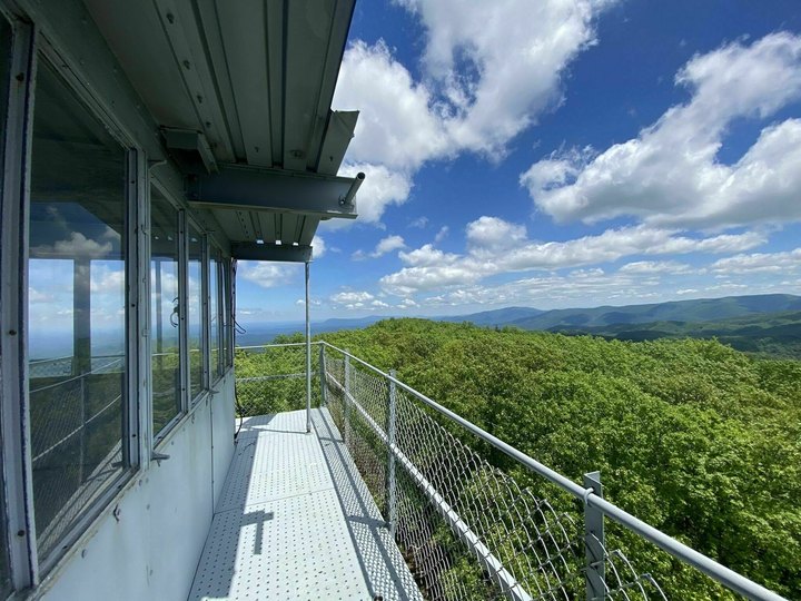 The One-Of-A-Kind Trail In Georgia With Fire Tower Views And A Scenic Forest Is Quite The Hike