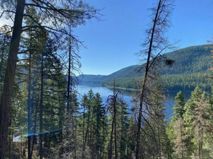 The Tally Lake Overlook Trail In Montana Takes You From The Woods To The Lake And Back