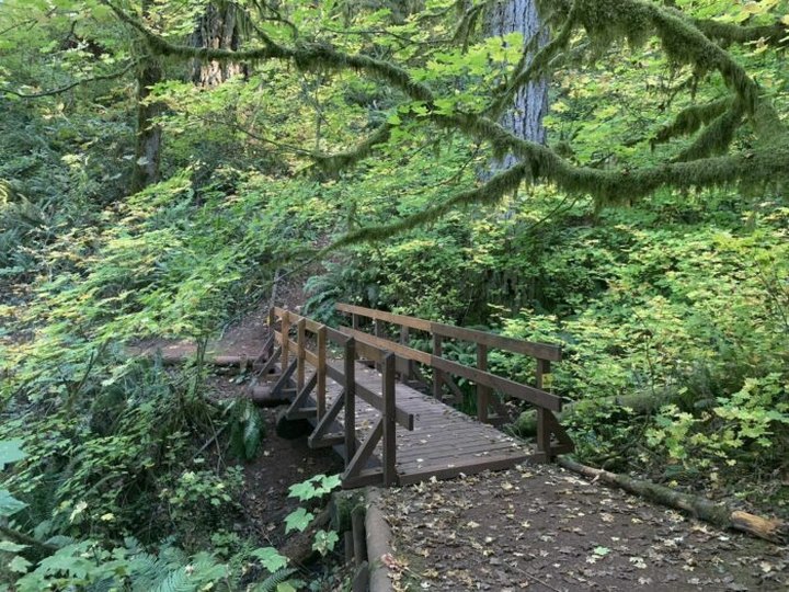 Take An Easy Loop Trail To Enter Another World At McDonald Forest In Oregon