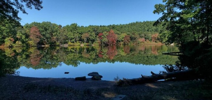 You'll Want To Spend The Entire Day At The Gorgeous Natural Pool In Massachusetts's Houghton's Pond Recreation Area