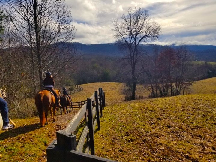 Take A Fall Foliage Trail Ride On Horseback At Brasstown Valley Stables In Georgia