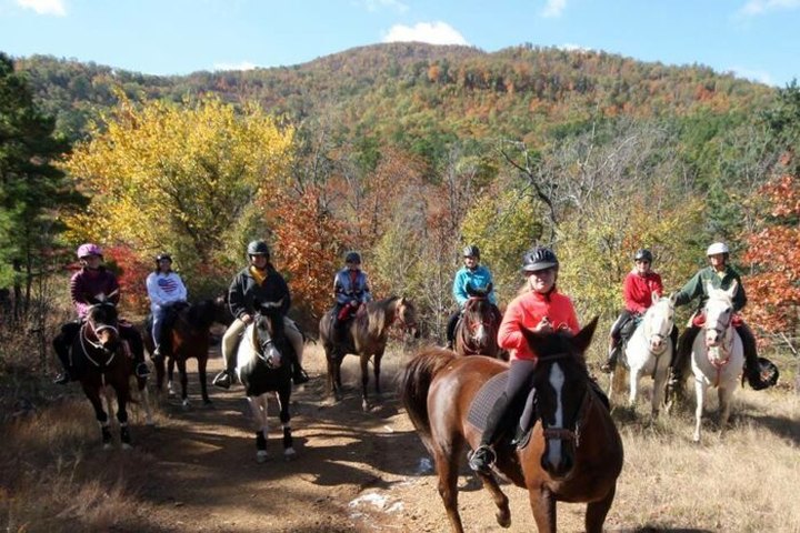 Take A Fall Foliage Trail Ride On Horseback At Daystar Horseback Riding In Arkansas