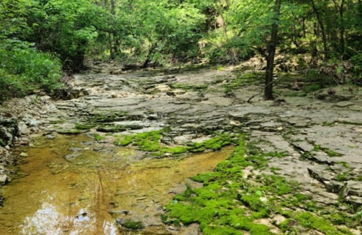 This Trail Leading To A Beautiful Gulf Is Often Called The Little Grand Canyon Of Missouri