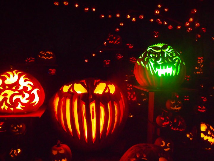 Walk Through A Magical Path Of Jack-O-Lanterns At Roger Williams Zoo's Annual Pumpkin Spectacular