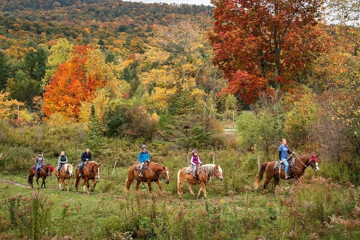 Take A Fall Foliage Trail Ride On Horseback At Lajoie Stables In Vermont