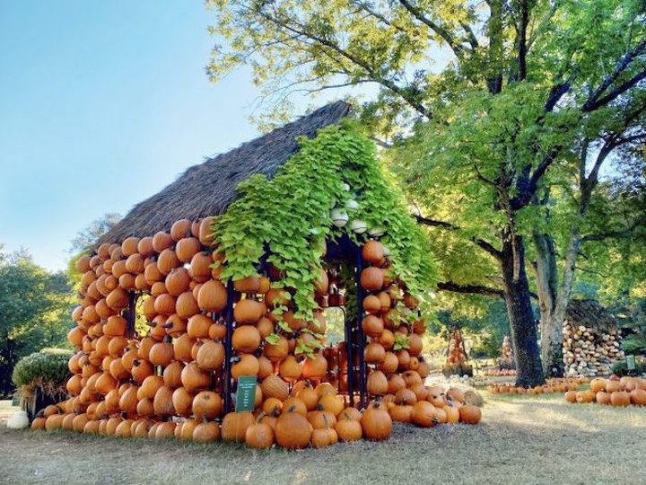 Celebrate Fall With A Truly Nashville Tradition At Cheekwood Estate And Gardens