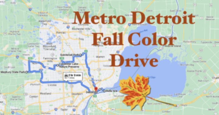 Take A 2-Hour Drive Through Metro Detroit To See This Year's Beautiful Fall Colors