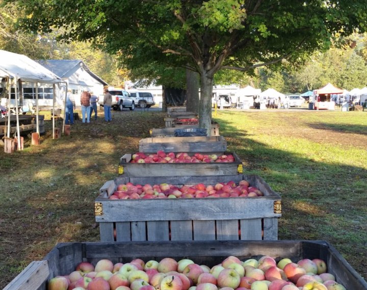 One Of The Oldest Apple Festivals In Virginia, The Graves Mountain Apple Harvest Festival Is A Tradition You Won't Want To Miss