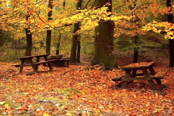 Fall In Love With Fall When You Hike This Stunning Trail In Kansas This Autumn