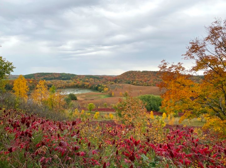 With Hills That Soar 1,600 Feet Above The Surrounding Landscape, Maplewood State Park Is One Of Minnesota's Best Spots To See Fall Leaves
