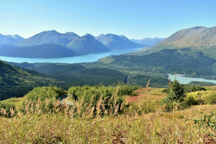 Hike Above The Treeline On This Underrated Trail For Breathtaking Views Of Kenai Lake In Alaska