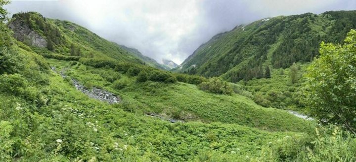 Head Out On The Victor Creek Trail And Explore The Alaskan Mountains From Up High
