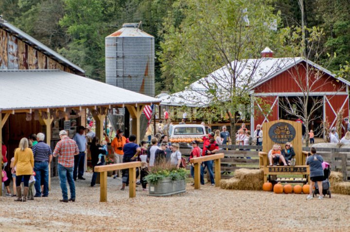 The 7 Best Alabama Farms To Visit This Fall