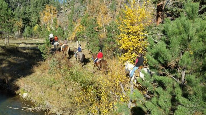 Take A Fall Foliage Trail Ride On Horseback At Andy's Trail Rides In South Dakota