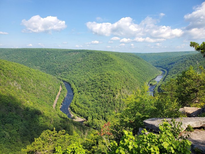 Tank Hollow Trail Just Might Be The Most Beautiful Hike In All Of Pennsylvania