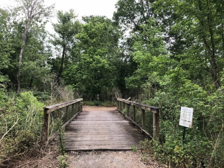 A Mysterious Woodland Trail In Louisiana Will Take You To Abandoned WWII Relics