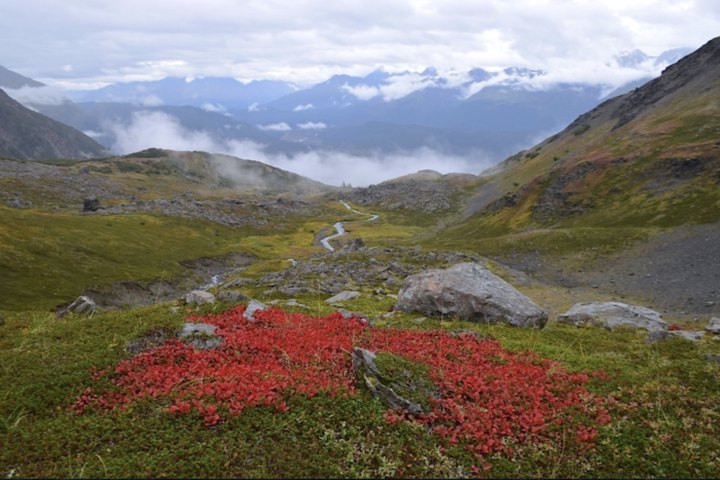 Get Your Last Run In For The Colorful Autumn Season On This Epic Alaskan Hike