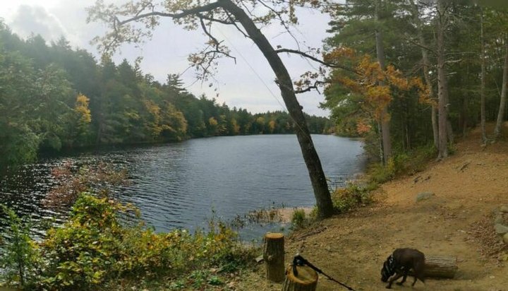 This Trail Features Three Ponds And Is Often Called The Best Trail In Connecticut