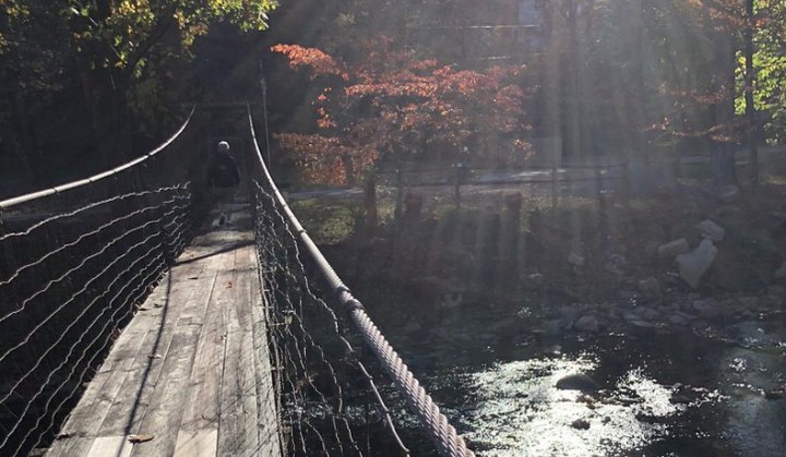 Spend The Day Exploring A Boardwalk With Two Swinging Bridges In West Virginia