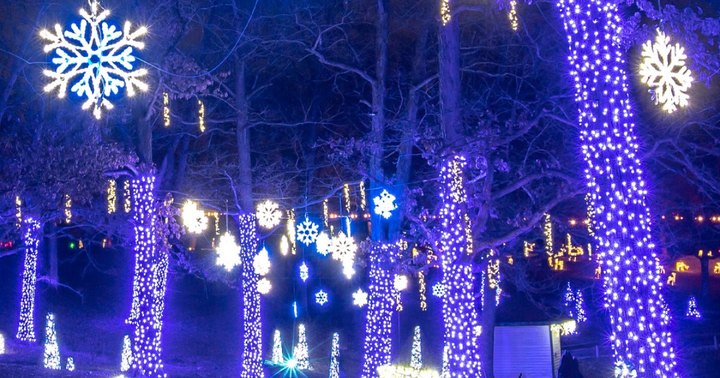 The Holiday Lights At Grant’s Farm Is One Of Missouri's Brightest And Most Dazzling Drive-Thru Light Displays