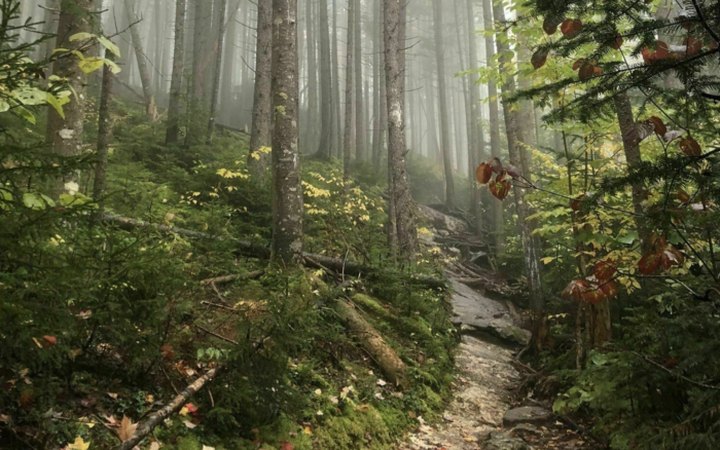 Follow This 7.4-Mile Trail In Maine To A Waterfall, A Fire Tower, and Sensational Views