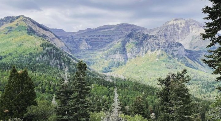 This 4-Mile Hike In Utah Is Absolutely Stunning Any Time Of The Year