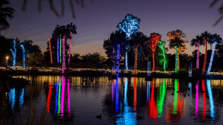 Walk Or Drive Through Millions Of Holiday Lights At ZooLights In Arizona