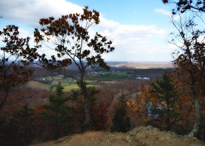 Buzzard Rock Is A Gorgeous Forest Trail In Virginia That Will Take You To A Hidden Overlook