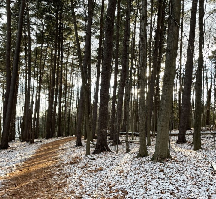The Red Rocks Park Loop Trail In Vermont Completely Transforms In The Winter Months 