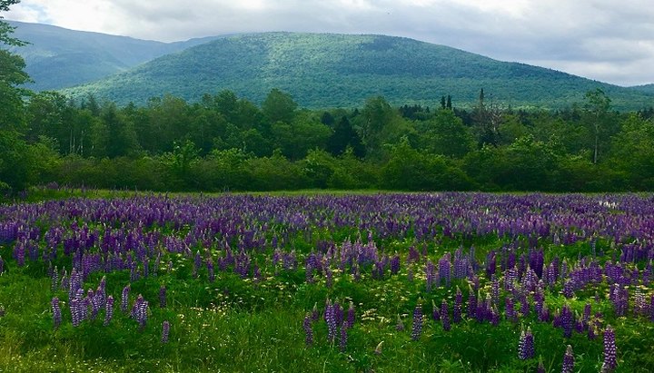 An 83-Mile Hiking Trail Connects 10 Marvelous Small Towns In New Hampshire