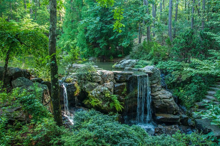 Arkansas’ Most Easily Accessible Waterfalls Are Hiding In Plain Sight At Garvan Woodland Gardens