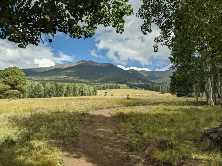 The Easy 2.7-Mile Aspen Nature Loop Trail Will Lead You Through The Arizona Forest
