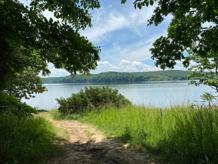 Indiana's Most Refreshing Hike, Whitehead Trail, Will Lead You Straight To A Beautiful Swimming Hole