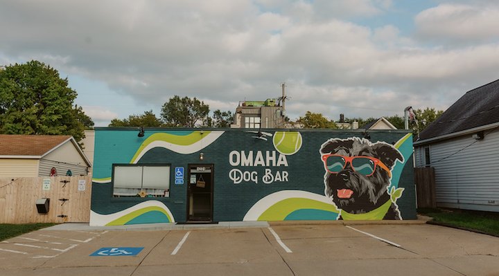 Order Snacks And A Pint While You Play With Puppies At This Only-In-Nebraska Dog Bar