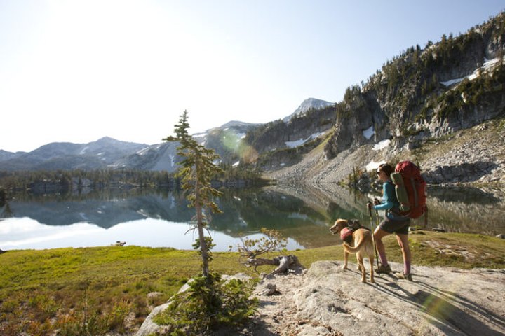 Let The Dogs Have Their Day On These 5 Off-Leash Hikes In Oregon