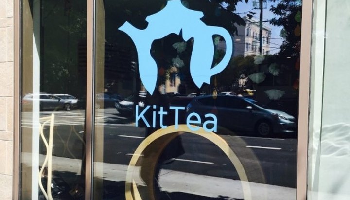 Play With Cats At KitTea Cat Lounge, Then Explore The Bernal Heights Park In Northern California